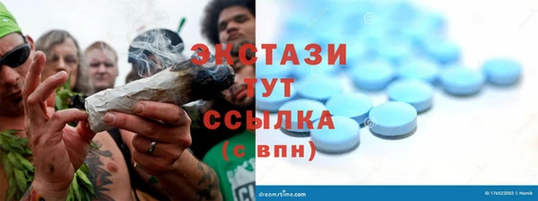ECSTASY Алзамай