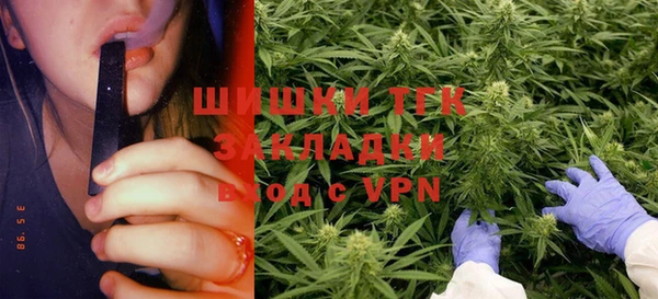 ECSTASY Алзамай
