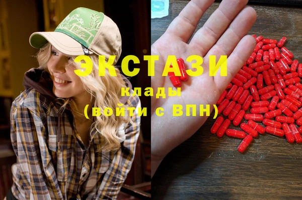 ECSTASY Алзамай