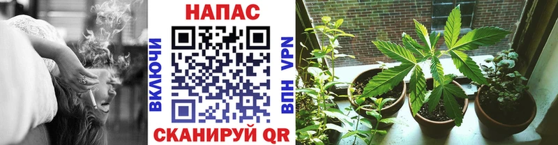 blacksprut маркетплейс где продают Набережные Челны Каннабис планчик
